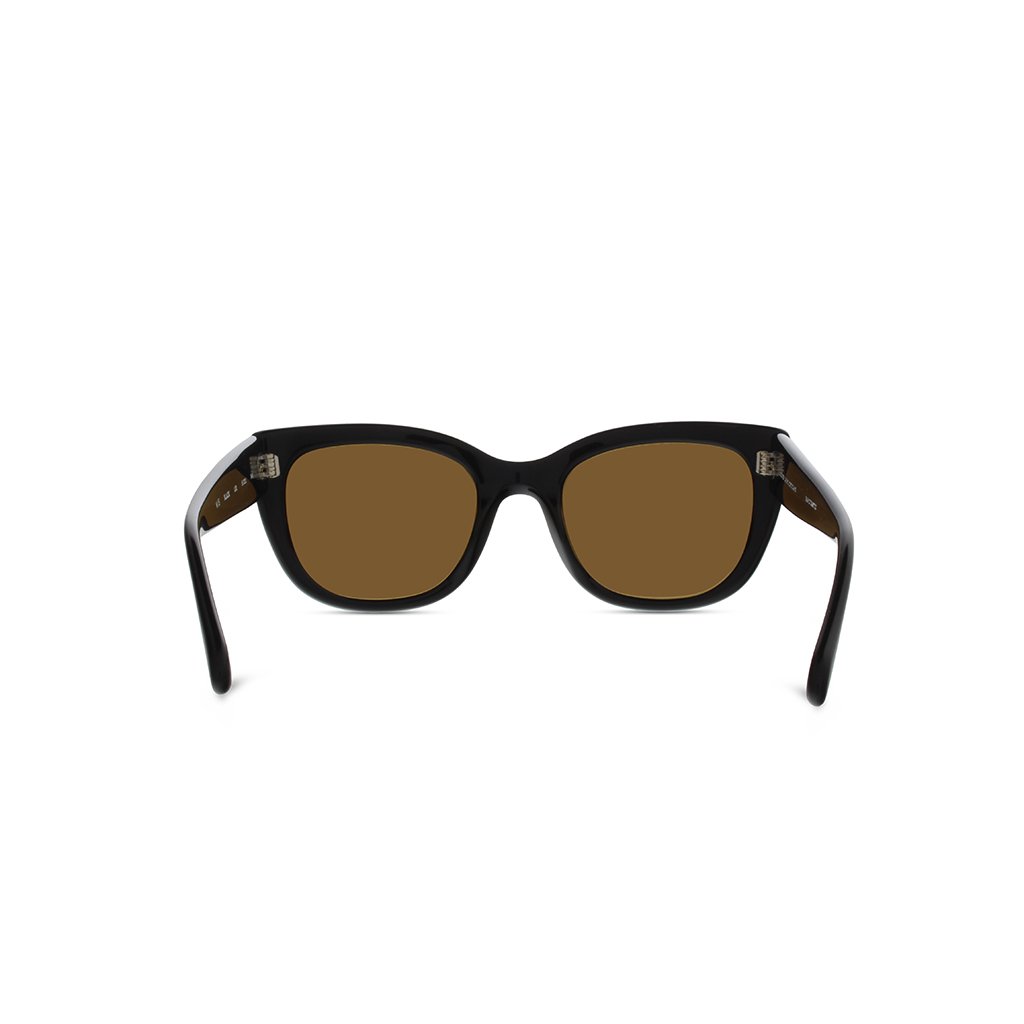 Black-brown-solid-1