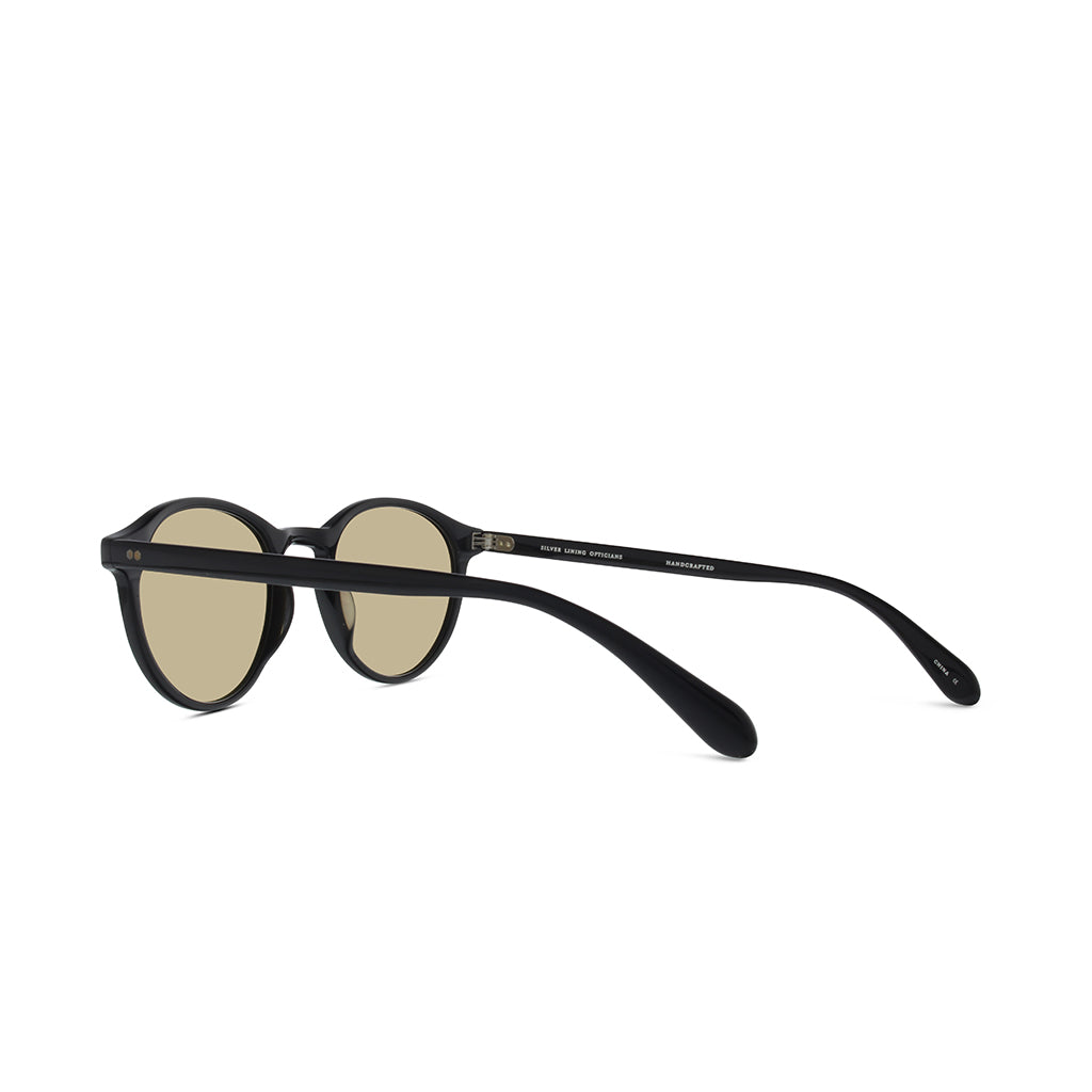 Black-glass-photo-brown-1
