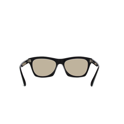 Black-glass-photo-brown