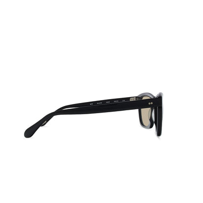 Black-glass-photo-brown