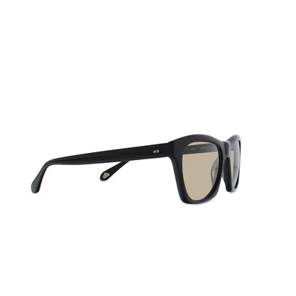 Black-glass-photo-brown